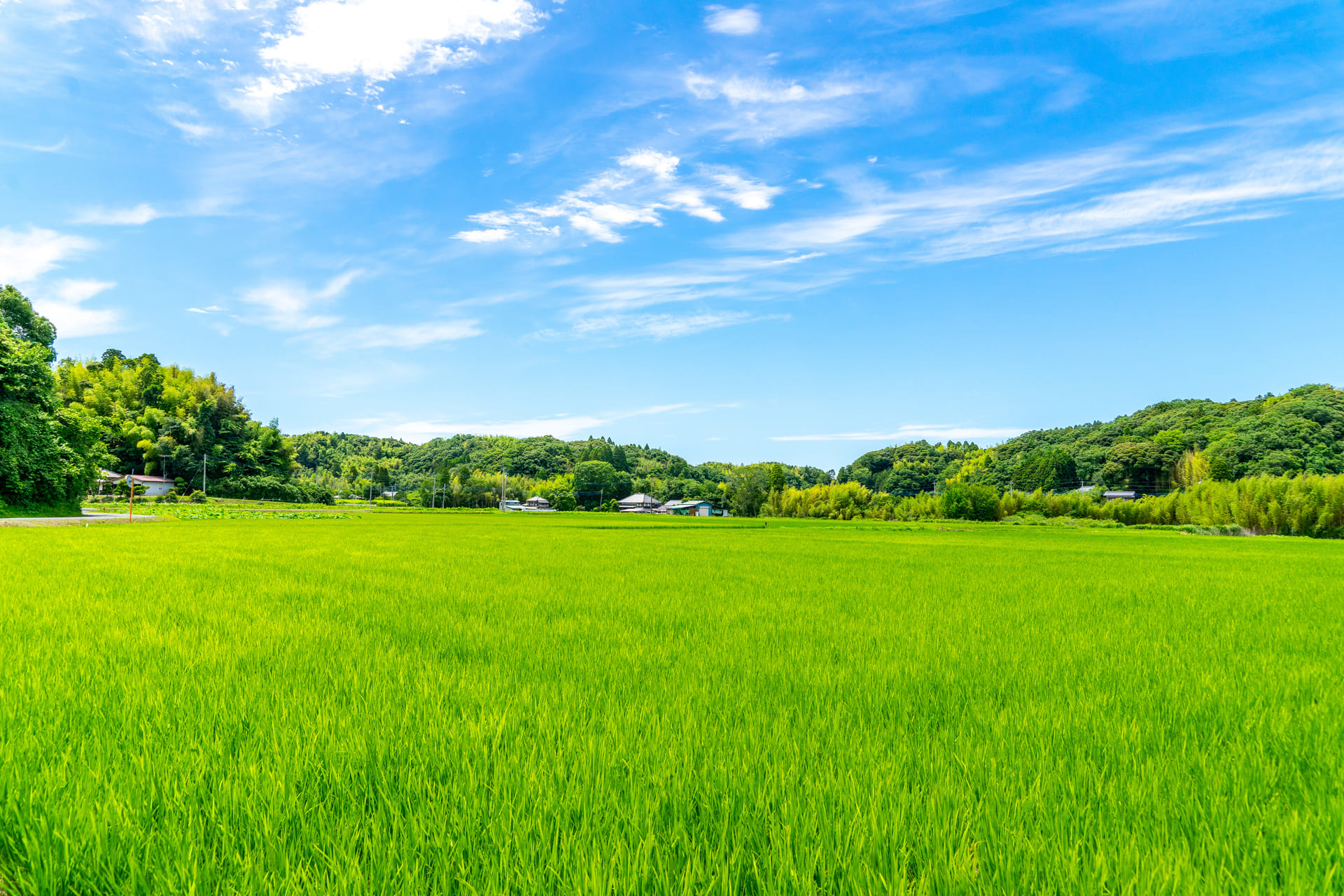 土地の売却提案 | 熊本県熊本市の不動産売却なら株式会社MERANO不動産